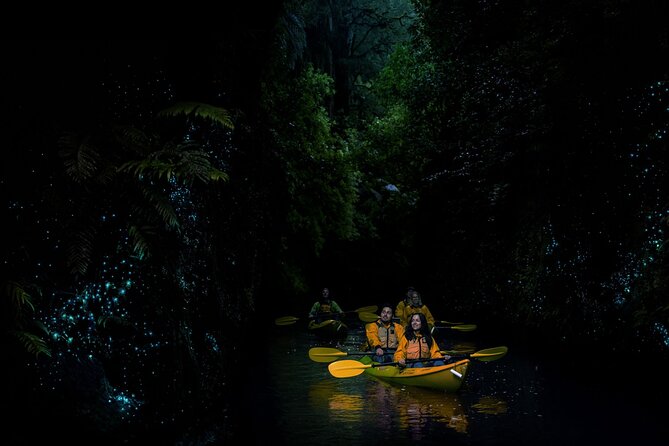 Twilight Glowworm Kayak Tour – Lake Karapiro - What you do during the 3.5 hours (and how to mentally prep)