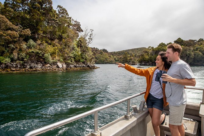 Ulva Island Explorer from Stewart Island - Stewart Island to Ulva Island, the smart way to do bird country