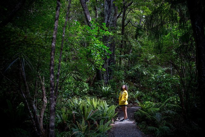 Ulva Island Explorer from Stewart Island - Ulva Island Bird Sanctuary walk: gentle steps, serious birdlife