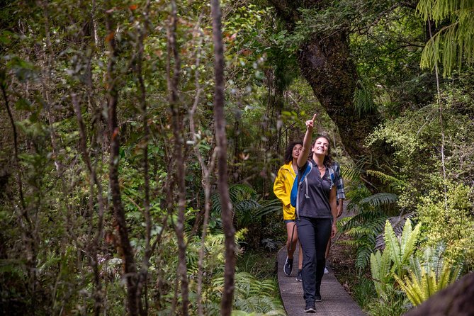 Ulva Island Explorer from Stewart Island - Timing, groups, and what 2 hours 30 minutes feels like