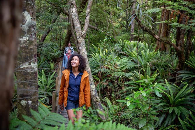 Ulva Island Explorer from Stewart Island - What you’re likely to see, and how to increase your odds