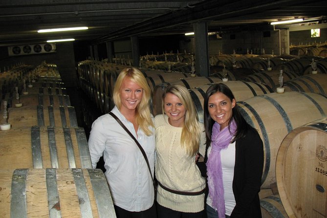 Vineyards Honey and Black Sand Beaches from Auckland - Key Points That Matter for Your Day