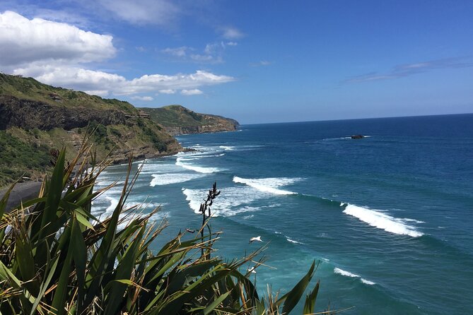 Vineyards Honey and Black Sand Beaches from Auckland - Auckland Wine, Kumeu Hills, and a Black Sand Finish Without the Driving