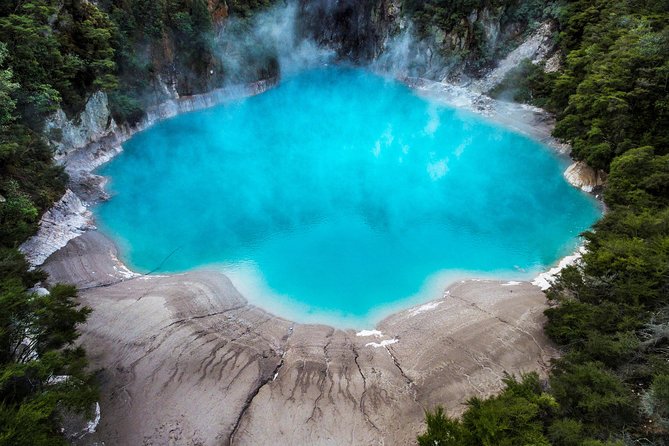 Volcanic Valley Self Guided Walking and Hiking at Waimangu - Flora and Fauna: Why the Trail Feels Like More Than Geothermal