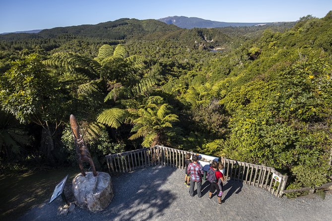 Volcanic Valley Self Guided Walking and Hiking at Waimangu - Price and Value: Is $46.54 a Fair Deal?