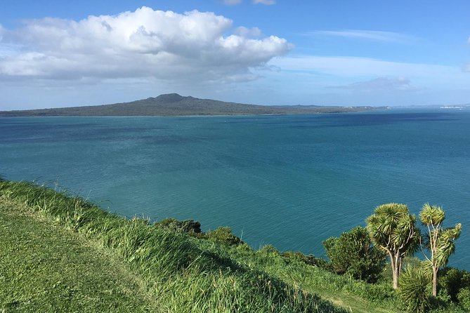 Volcanoes, Coasts, and Secret Spots Afternoon Tour in Auckland - Key things I’d plan around