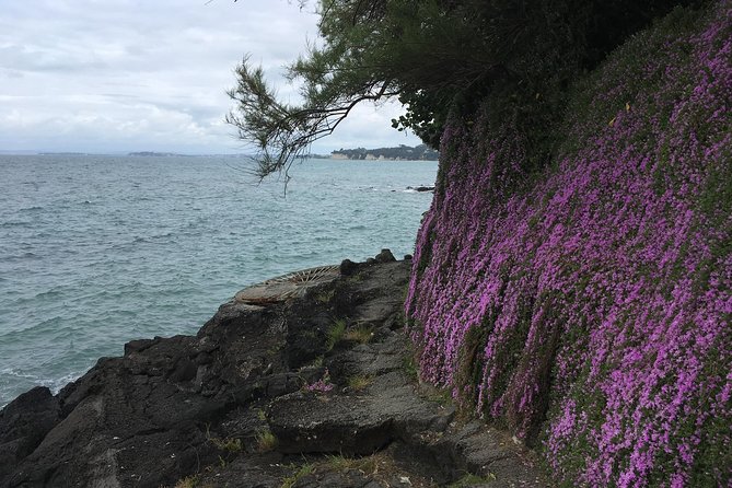 Volcanoes, Coasts, and Secret Spots Afternoon Tour in Auckland - Takapuna to Milford walk: lava rock waves and tree moulds