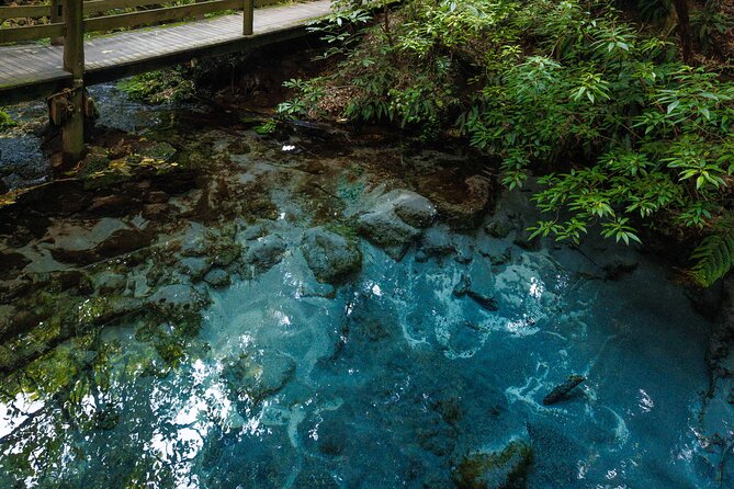 Voyages of Maori at Mitai Maori Village - Price and value: what $86.26 covers in Rotorua reality