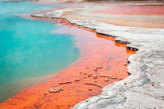 Wai-O-Tapu Thermal Wonderland, Rotorua, New Zealand - Key highlights to plan around