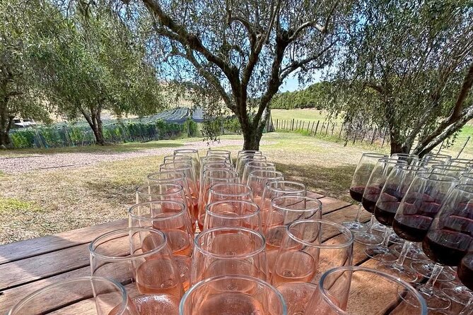 Waiheke Island: Afternoon Wine Affair with Ocean Front Lunch - Mudbrick Vineyard in Oneroa: Rangitoto and Auckland City in the same view