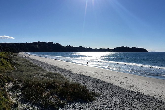 Waiheke Island Bush & Beach Walk - Your 5-hour route: what you’ll actually be doing