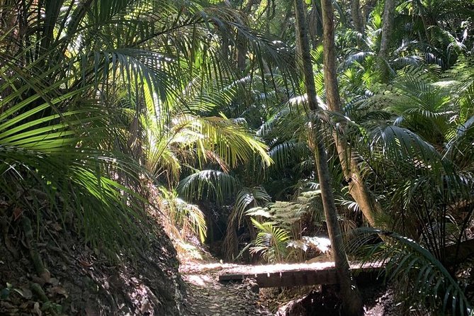 Waiheke Island Bush & Beach Walk - Weather, shoes, and the stuff that keeps it comfortable