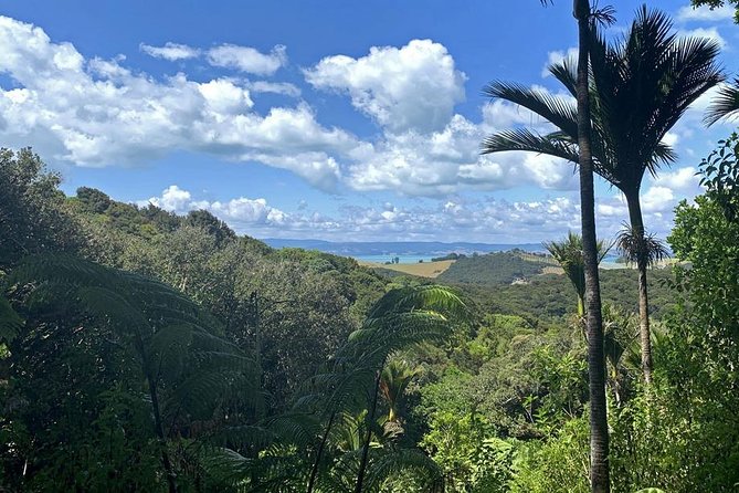 Waiheke Island Bush & Beach Walk - Who should book this Waiheke bush and beach walk?