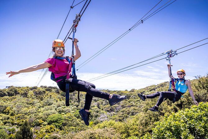 Waiheke Island Day Tour: Ziplining, Wine Tasting & Vineyard Lunch - Key Tour Snapshot You’ll Actually Use