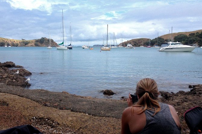 Waiheke Island Double Headland Coastal Walk - What you can realistically spot: birds, plants, dolphins, and surprises