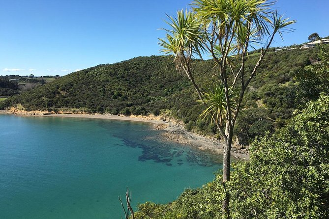 Waiheke Island Double Headland Coastal Walk - How the guide turns a route into a story (and why that feels worth it)