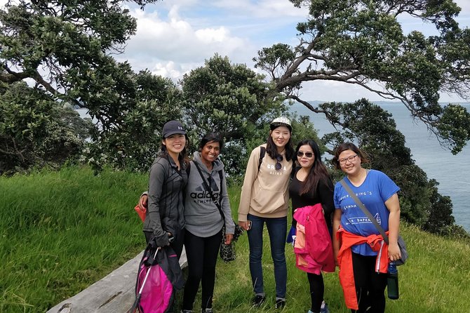 Waiheke Island Double Headland Coastal Walk - Price and value: what $260.64 covers, and why it can make sense