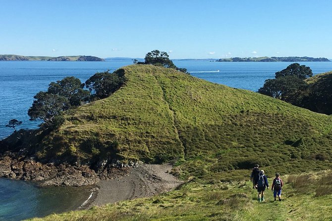 Waiheke Island Double Headland Coastal Walk - Who this tour suits best, and who might feel frustrated
