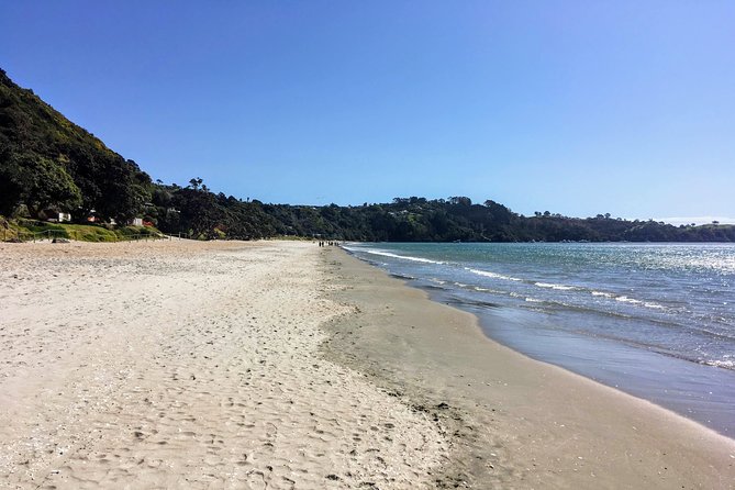 Waiheke Island Experience Tour - What the guides do differently, and why you feel it