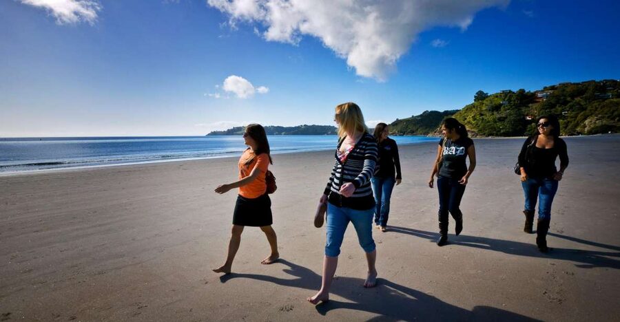 Waiheke Island: Ferry & Hop-On Hop-Off Explorer Bus Tickets - Oneroa village breaks: shops, galleries, and a real lunch moment