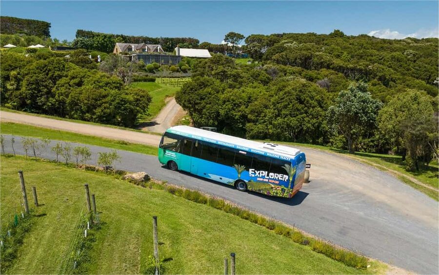 Waiheke Island: Ferry & Hop-On Hop-Off Explorer Bus Tickets - Price and value at $59: what you are really buying
