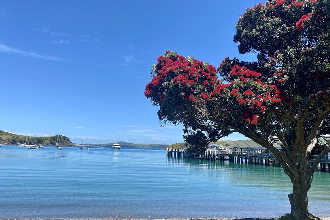 Waiheke Island Gourmet Food and Wine Tour - Getting started at Matiatia Ferry Terminal (and what to do before 9:50 am)
