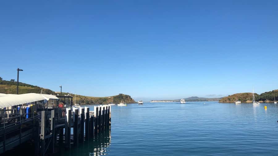 Waiheke Island Gourmet Food and Wine Tour with Platter Lunch - Waiheke Island in Five Hours: Your 9:45 AM Plan