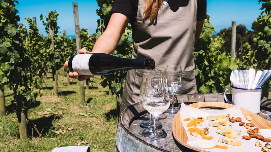 Waiheke Island Gourmet Food and Wine Tour with Platter Lunch - Vineyard Lunch Overlooking the Vines: Family Style and Dietary Options