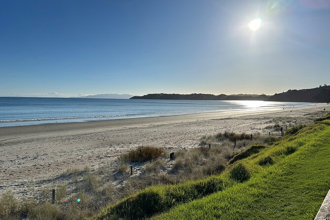 Waiheke Island Half Day Scenic Wine and Lunch - Mudbrick Vineyard: views first, then the tasting