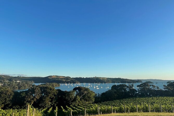 Waiheke Island Half Day Scenic Wine and Lunch - Goldie Estate or Stonyridge: lunch plus a glass
