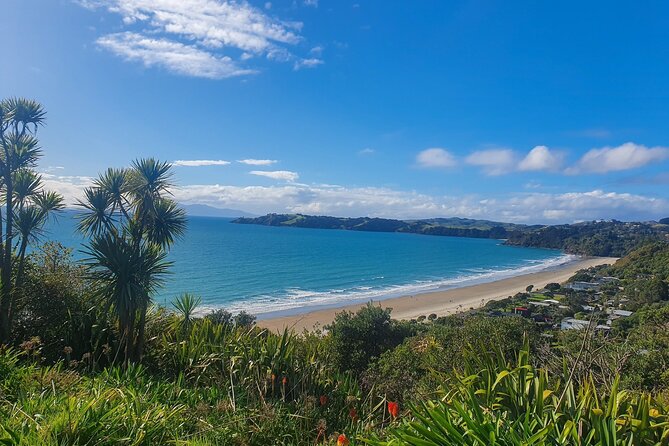 Waiheke Island Half Day Scenic Wine and Lunch - Price and value: what your $170.66 buys you