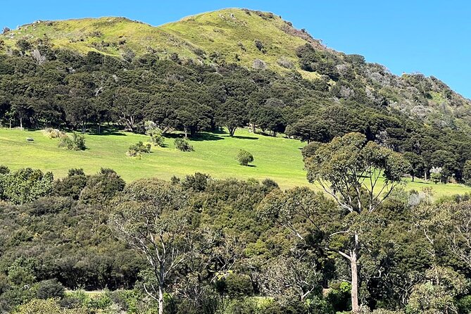 Waiheke Island History and Heritage Tour - Lunch at a local cafe, plus where tastings fit
