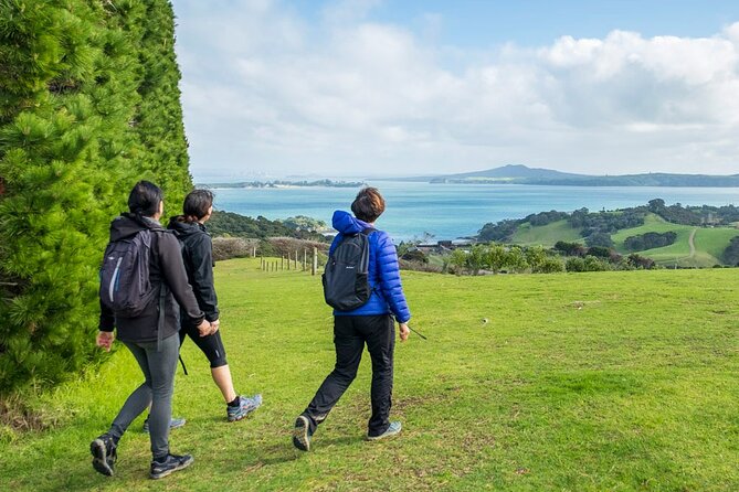 Waiheke Island History and Heritage Tour - Timing, pace, and how the 4 pm ferry controls the day