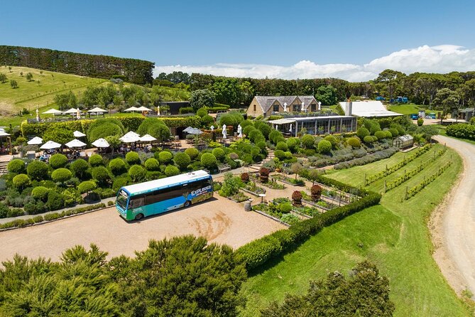 Waiheke Island Hop-On Hop-Off Explorer Bus - Stop-by-Stop: What Each Part of the Route Is Good For