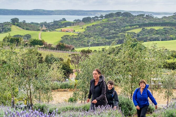 Waiheke Island Private History and Heritage Tour - Pristine White-Sand Beaches and the Story Behind Them