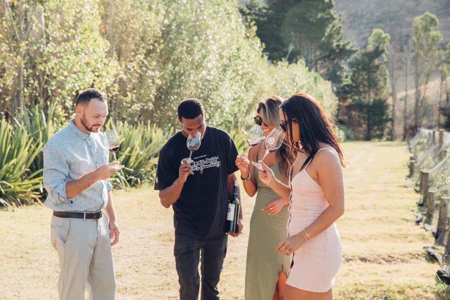 Waiheke Island: Scenic Island Wine Tour & Local Wine Tasting - Key things that make this Waiheke wine tour worth your time