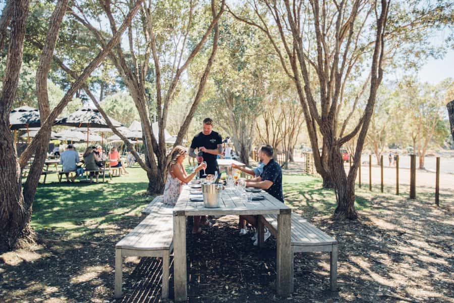 Waiheke Island: Scenic Island Wine Tour & Local Wine Tasting - Who should book this Waiheke wine tour, and who might not love it