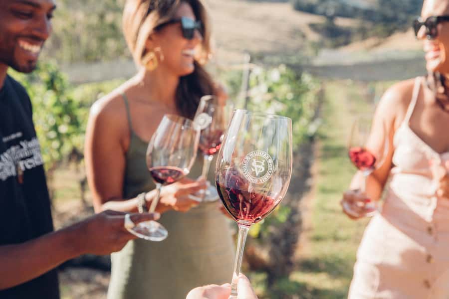 Waiheke Island: Scenic Island Wine Tour & Local Wine Tasting - Thomas Batch Vineyard: the lunch and views stop you should plan around