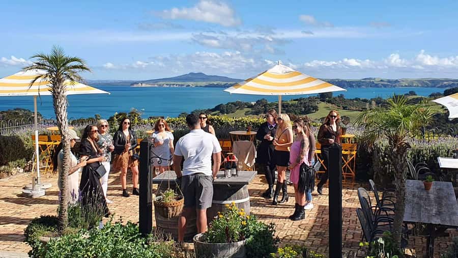 Waiheke Island: Scenic Island Wine Tour & Local Wine Tasting - Choosing between the 5 hour bus tour and the 4 hour double-decker tour