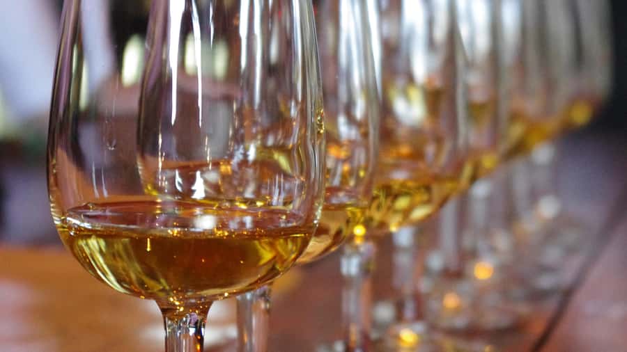 Waiheke Island: Scenic PREMIUM Wine Tour. Max 11 clients - A 6-Hour Taste Trail That Fits Real Travel Days
