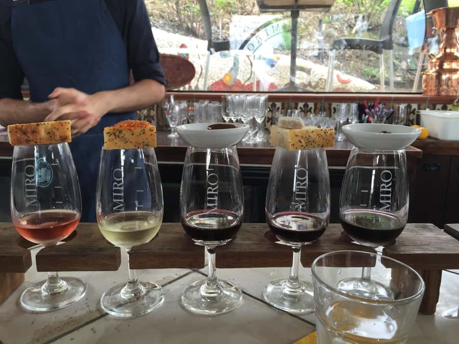 Waiheke Island: Scenic PREMIUM Wine Tour. Max 11 clients - The Heart of the Tour: Three Boutique Vineyards and Tastings