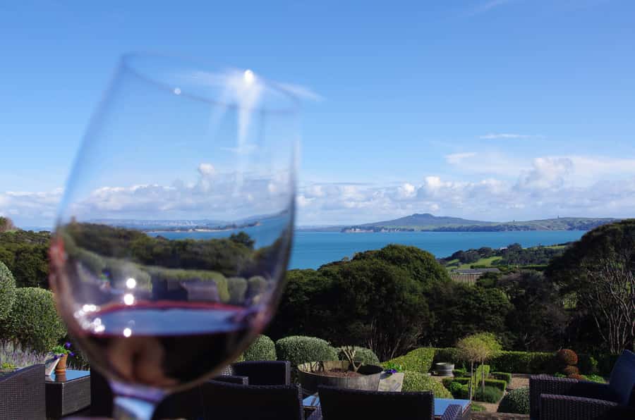 Waiheke Island: Scenic PREMIUM Wine Tour. Max 11 clients - Where the Guide Adds the Real Value