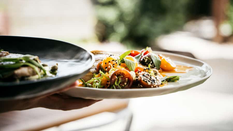 Waiheke Island: The Essence of Waiheke Wine Tour - Why Waiheke does wine so well, in just 5 hours
