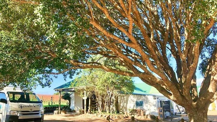 Waiheke Island: The Essence of Waiheke Wine Tour - Mudbrick Vineyard: your first tasting and why the start matters