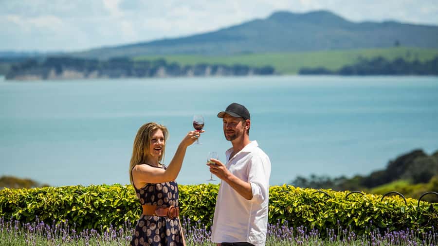 Waiheke Island: The Essence of Waiheke Wine Tour - Who this tour is best for, and who should choose something else