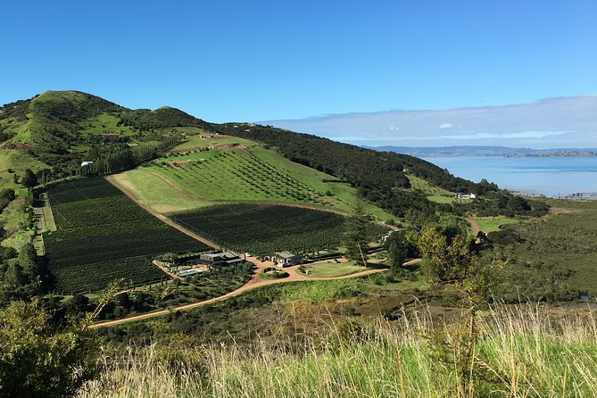 Waiheke Island Vineyards and Bush Walk - Key things to know before you go