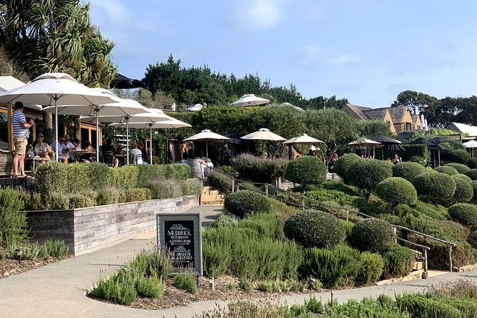 Waiheke Island Vineyards and Bush Walk - Route breakdown: bush, headlands, valleys, then two vineyard stops