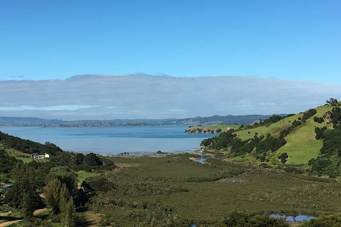 Waiheke Island Vineyards and Bush Walk - What to bring: shoes, weather gear, and money for lunch