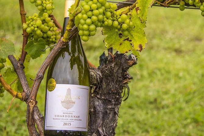 Waiheke Island Vineyards and Bush Walk - Meeting point and day flow at Matiatia (and why it’s easier than it sounds)