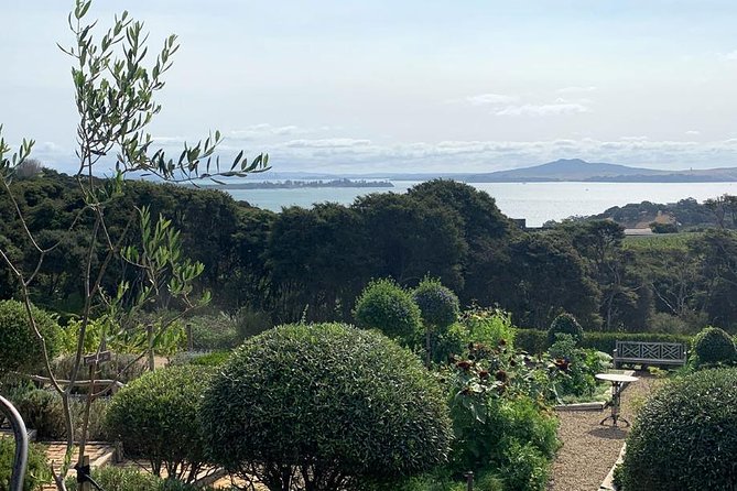 Waiheke Island Vineyards and Bush Walk - Who should book this Waiheke walk, and who might skip it